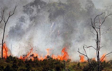 kebakaran hutan adalah faktor alami merupakan faktor yang terjadi akibat alam itu sendiri seperti kemarau berkepanjangan, letusan gunung berapi, dan sambaran petir